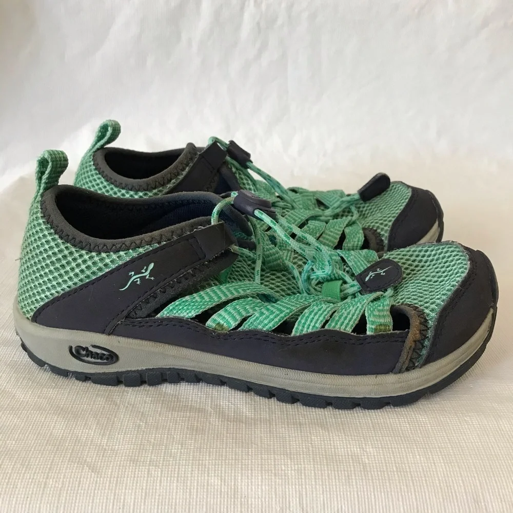 Chaco outcross blue